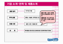 [국제경영] 유니더스 기업분석 및 해외진출사례 분석 및 나아갈 방향-4