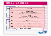 [국제경영] 유니더스 기업분석 및 해외진출사례 분석 및 나아갈 방향-7
