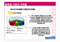 [국제경영] 유니더스 기업분석 및 해외진출사례 분석 및 나아갈 방향-15