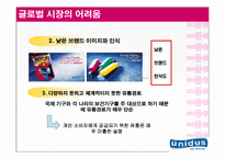 [국제경영] 유니더스 기업분석 및 해외진출사례 분석 및 나아갈 방향-16
