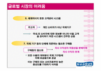 [국제경영] 유니더스 기업분석 및 해외진출사례 분석 및 나아갈 방향-18