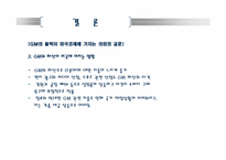 [미국경제의 이해]GeneralMotors(GM)현황과 전략적 분석-17