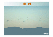 [관광자원개발론] 을숙도-2