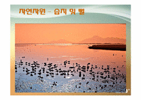 [관광자원개발론] 을숙도-7