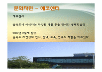 [관광자원개발론] 을숙도-11