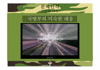 [홍보기획] 정부PR 보고서-국방부 홍보 전략-10