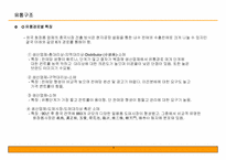 중국 화장품 시장 공략을 위한 사업계획서-3