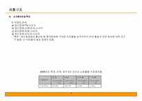 중국 화장품 시장 공략을 위한 사업계획서-5