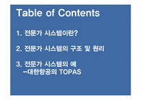 전문가시스템-대한항공의 TOPAS 사례-2