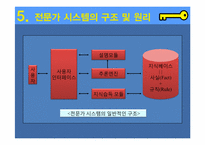 전문가시스템-대한항공의 TOPAS 사례-8