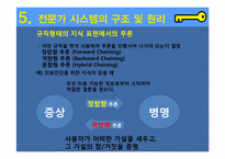 전문가시스템-대한항공의 TOPAS 사례-12