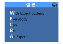 전문가시스템-대한항공의 TOPAS 사례-20