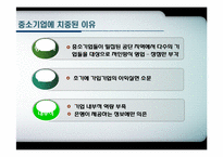 [한국경제의이해] 키코(KIKO)를 통해 바라본 한국경제-중소기업과 환해지 파생상품을 중심으로-13