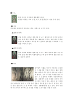 [전통유물]석굴암에 대해서-2