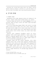 무속이란 레포트-11