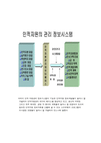 인적자원정보 시스템과 평가전략-4