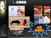 [축제이벤트]스페인의 필라르축제 VS 남원의 춘향제 비교-5