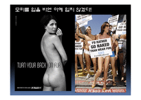 공리주의적 접근-공리주의에서의 논쟁(안락사, 동물권리)-18