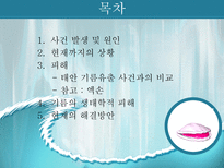 [환경독성학]멕시코만 기름유출사건 & 아랄해-3