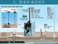 [환경독성학]멕시코만 기름유출사건 & 아랄해-19