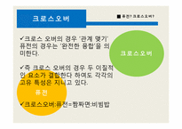 [소리문화와 인간] 크로스오버음악과 리메이크 음악 심층분석-4