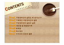 [지방행정론] 지방정부간의 갈등 실태 및 해결방안-2