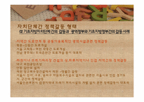 [지방행정론] 지방정부간의 갈등 실태 및 해결방안-9