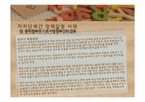 [지방행정론] 지방정부간의 갈등 실태 및 해결방안-11