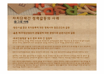 [지방행정론] 지방정부간의 갈등 실태 및 해결방안-12