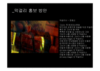 막걸리의 세계화-5