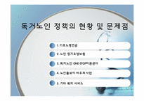[사회복지개론] 독거노인 정책의 현황 및 문제점-12