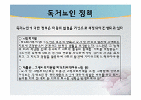 [사회복지개론] 독거노인 정책의 현황 및 문제점-13