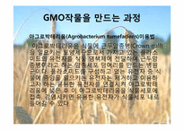 유전자조작식품GMO정의 및 찬반의견-10