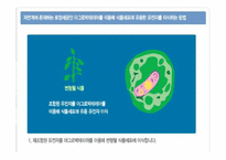유전자조작식품GMO정의 및 찬반의견-11