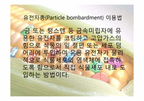 유전자조작식품GMO정의 및 찬반의견-14