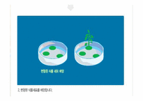 유전자조작식품GMO정의 및 찬반의견-16