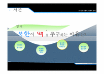 21세기 북한의 변화와 전망-북핵문제 발생의 원인과 진행방향 협상을 통한 해결 방안-4