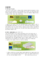 정보엔터테인먼트 산업론-P2P 합법화 및 발전방안 연구-2