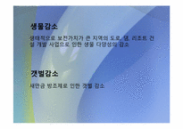 [작문과발표]국토개발의 역사, 현황, 당위성, 문제점-15