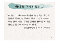 [국제법]1959 ICJ Reports 사건에서 나타난 국내적 구제완료원칙 분석-10
