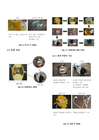 Mixer and Juicer에 대한 제품해체 및 설계 추론에 관한 연구-9