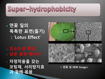 [유기신소재] 고분자를 이용한 발수성 섬유 제조-4