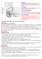 Moyamoya disease(모야모야병)의 진단기준과 관련된 동맥의 분포에 따른 임상증상-3
