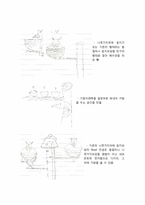 [디자인의 이해]디자인 프로세스(Design Process)-10