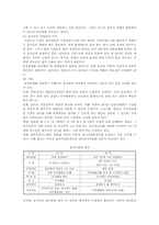 [분식회계] 분식회계의 사례 및 대책방안-17