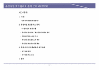 현대자동차 BCG 매트릭스 분석-18