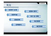 소니(sony) 경영분석과 마케팅사례분석-2