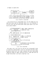 [재무행정론] 성과주의 예산제도 분석-11