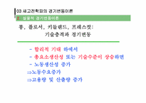 [거시경제학] 경기변동론-18