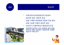 [공급사슬] Supply Chain of Big Mac(맥도날드 빅맥의 공급사슬)-10